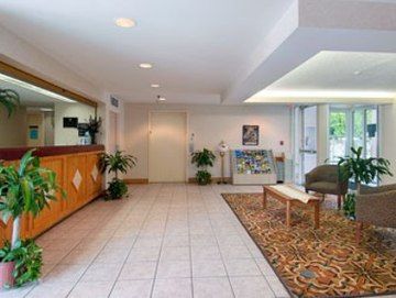 Super 8 By Wyndham Orlando Near Florida Mall Williamsburg Exterior photo